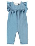 Fifi Jumpsuit Haalari Blue Molo