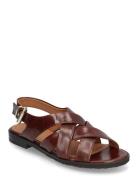 Sandals Matalapohjaiset Sandaalit Brown Billi Bi