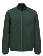 Jjstyd Ninety Bomber Jnr Bombertakki Green Jack & J S