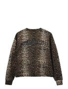 Elisw Sweatshirt Tops Sweat-shirts & Hoodies Sweat-shirts Brown Sofie ...