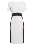 Neoprene Scuba Two Color Dress Polvipituinen Mekko White Calvin Klein
