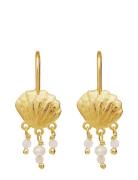 Alana Earrings Korvakoru Korut Gold Maanesten