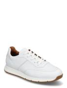 Amsterdam Matalavartiset Sneakerit Tennarit White Lloyd