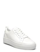 Meadow Matalavartiset Sneakerit Tennarit White ALDO