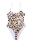 Gzlelou Swimsuit Uimapuku Uima-asut Brown Gestuz