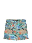 Tnd Calvi Uimashortsit Blue TUMBLE 'N DRY