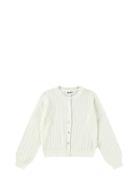 Gillian Tops Knitwear Cardigans White Molo