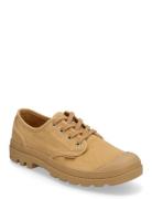 Pampa Oxford Matalavartiset Sneakerit Tennarit Beige Palladium