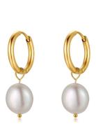 Sienna Minipearl Earring Korvakoru Korut Gold By Jolima