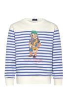 Yd Graphic Fleece-Po Cn-Kn-Sws Tops Sweat-shirts & Hoodies Sweat-shirt...