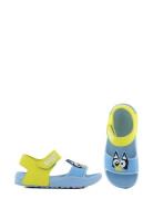 Bluey Sandal Shoes Summer Shoes Sandals Blue Bluey