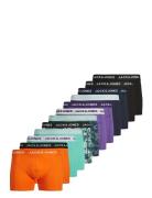 Jactasmania Trunks 12 Pack Bokserit Blue Jack & J S