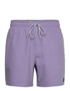 Daily Volley Uimashortsit Purple Rip Curl