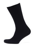 Claudio Socks Solid Colours. Underwear Socks Regular Socks Blue Claudi...