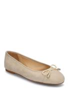 Cate Ballerinat Beige Dasia