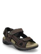 802569 Sandaalit Brown Bugatti