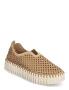 Tulip Slip-In On Plateau Sole Tennarit Sneakerit Brown Ilse Jacobsen