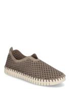 Tulip Slip-In Tennarit Sneakerit Brown Ilse Jacobsen