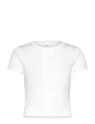 Basic Tight Top Tops T-shirts & Tops Short-sleeved White Gina Tricot