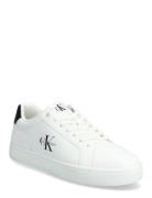 Classic Cupsole Mono Lth Matalavartiset Sneakerit Tennarit White Calvi...