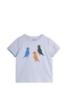 Birds Sp Ss Tee Tops T-shirts Short-sleeved Purple Mini Rodini