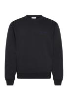 Emerson Tops Sweat-shirts & Hoodies Sweat-shirts Black Tiger Of Sweden