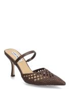 Brinley Korolliset Sandaalit Brown Steve Madden