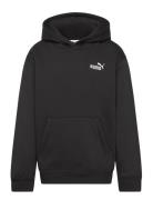 Ess Small No. 1 Logo Relaxed Hoodie Fl B Tops Sweat-shirts & Hoodies H...