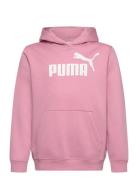 Ess No. 1 Logo Hoodie Fl G Sport Sweat-shirts & Hoodies Hoodies Pink P...