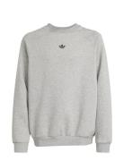 Loose Crew Tops Sweat-shirts & Hoodies Sweat-shirts Grey Adidas Origin...