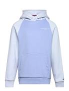 Mini Corp Logo Hoodie Tops Sweat-shirts & Hoodies Hoodies Blue Tommy H...