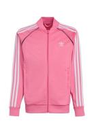 Sst Track Top Tops Sweat-shirts & Hoodies Sweat-shirts Pink Adidas Ori...