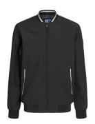 Jjbrook Bomber Jnr Bombertakki Takki Black Jack & J S