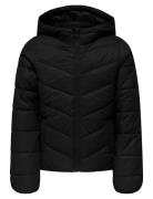 Kogkajsa Light Quilt Hood Jkt Otw Noos Toppatakki Black Kids Only