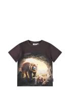 Riley Tops T-shirts Short-sleeved Grey Molo