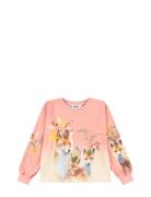 Reniza Tops T-shirts Long-sleeved T-shirts Pink Molo
