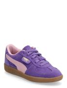Palermo Ps Sport Sneakers Low-top Sneakers Navy PUMA