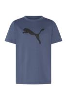 Tad Ess Cat Logo Tee B Sport T-shirts Short-sleeved Navy PUMA