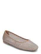Auden Ballerinat Beige Steve Madden