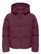 Kogdolly Life Sht Puffer Jacket Otw Noos Toppatakki Purple Kids Only