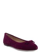 Jayna Iii Velvet Flat Matalapohjaiset Kengät Burgundy Lauren Ralph Lau...