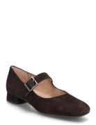 Culver_Ks Ballerinat Brown UNISA