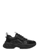 Animates-E Matalavartiset Sneakerit Tennarit Black Steve Madden