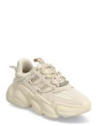 Spectator Matalavartiset Sneakerit Tennarit Cream Steve Madden