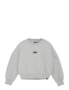 Sweater Glitterprint Tops Sweat-shirts & Hoodies Sweat-shirts Grey Ind...