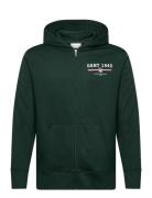 Graphic Full Zip Hoodie Tops Sweat-shirts & Hoodies Hoodies Green GANT