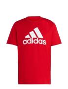 M Bl Sj T Sport T-shirts Short-sleeved Red Adidas Sportswear