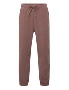 Hmljr Fleece Pants Bee Bottoms Sweatpants Brown Hummel
