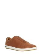 Tezzy Matalavartiset Sneakerit Tennarit Brown Dune London