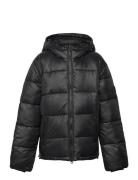 Milo Down Puffer Jacket Toppatakki Black Lexington Clothing